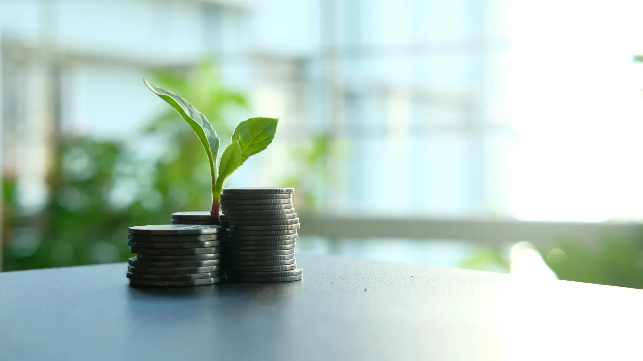 BES Fon Türleri Rehberi: Standart, Faizsiz, Altın, Döviz Fonları Nedir?